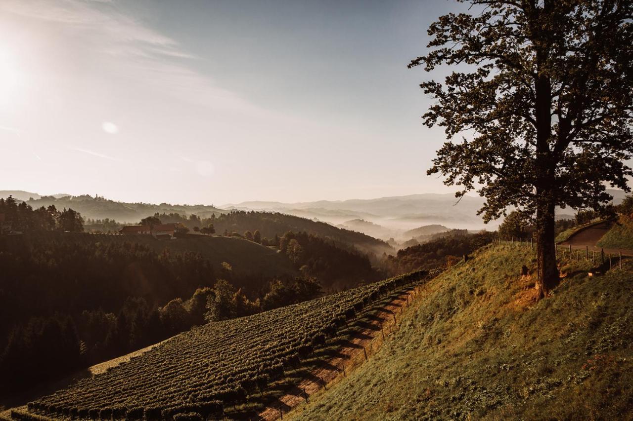 Weingut Kollerhof Am Eichberg Βίλα Leutschach Εξωτερικό φωτογραφία