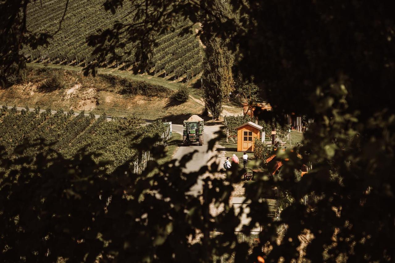 Weingut Kollerhof Am Eichberg Βίλα Leutschach Εξωτερικό φωτογραφία