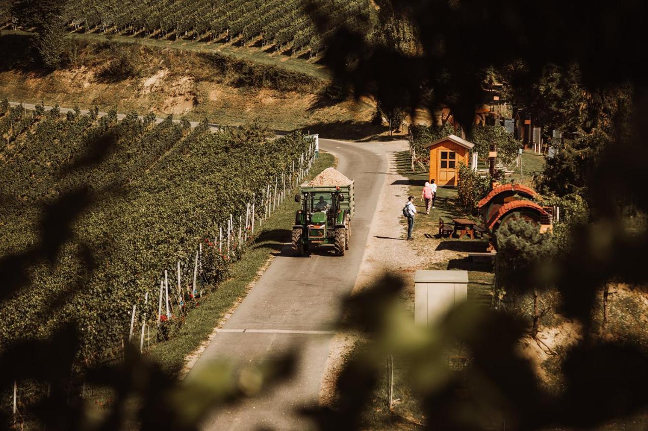 Weingut Kollerhof Am Eichberg Βίλα Leutschach Εξωτερικό φωτογραφία