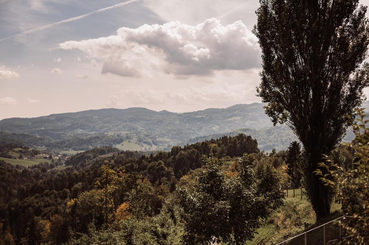 Weingut Kollerhof Am Eichberg Βίλα Leutschach Εξωτερικό φωτογραφία
